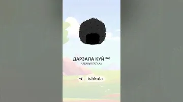 Виды шапок в чеченской культуре