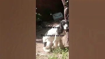 1 ноября 2024 г.