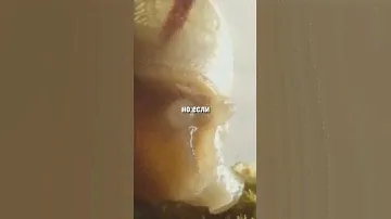 🐌 Выживет ли улитка без раковины?