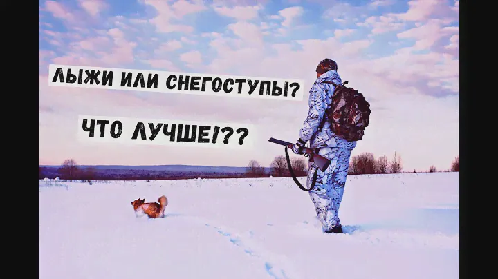 ЛЫЖИ ИЛИ СНЕГОСТУПЫ? ЧТО ЛУЧШЕ ВЫБРАТЬ ДЛЯ ОХОТЫ? #Охота #Зимняяохота #Рыбалка #Лыжи #Снегоступы