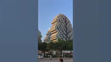 #Dadonghai #2024, #China, #Китай, #Дадунхай, #Санья, #Sanya, #Дома-деревья,  #Tree houses