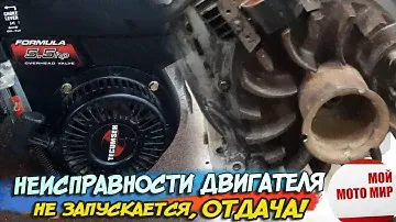Не запускается, отдача на ручку стартера двигатель Tecumseh Formula 5,5 культиватор