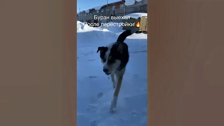#буран выехал 🔥👌🏻😎