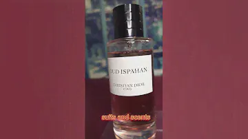 Самый длинный кит.