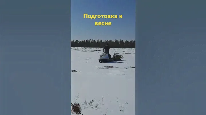 Руся на буране #буран#весна#охота