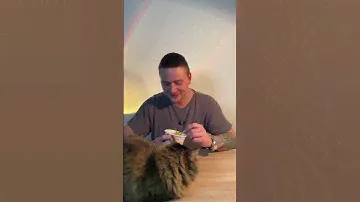 СЫРНЫЕ ТОПОККИ
