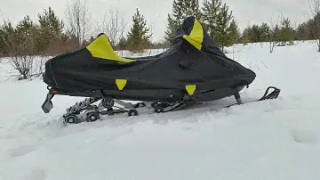 25 декабря 2023 г.