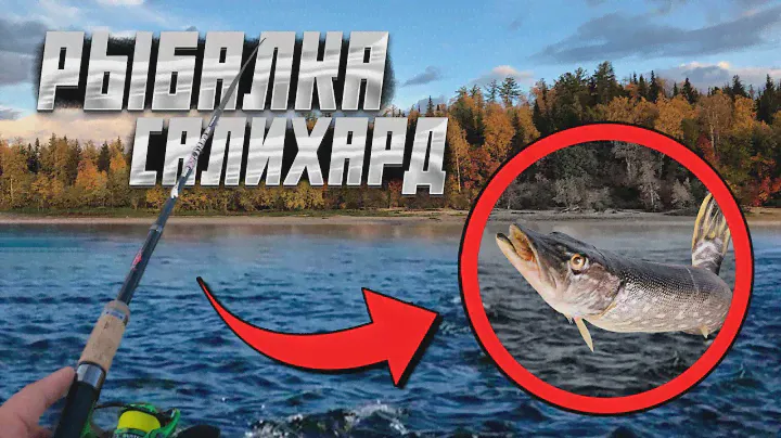 САЛЕХАРД: Рыбалка с лодки, Плавучий магазин, Обь, Дикая природа. ОЧЕНЬ красиво!