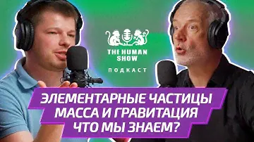 Элементарные частицы, масса и гравитация | Физик Алексей Семихатов