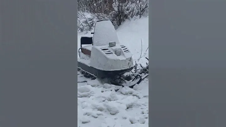 #буран#снегоход#едем забирать Буран