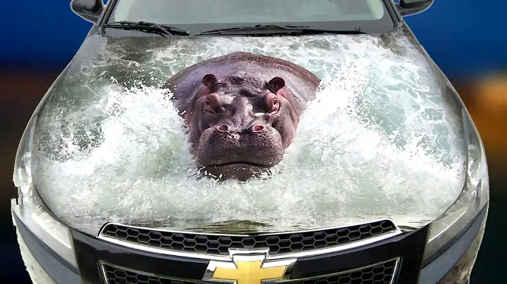 наклейки на капот, 3д наклейки на капот, car hood decals