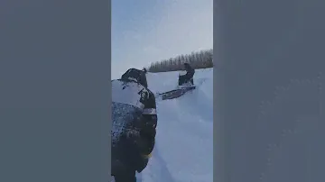 Тунгус 500