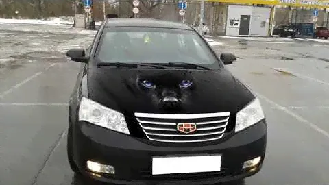 Наклейки на капот, наклейки на авто, 3д наклейки на капот