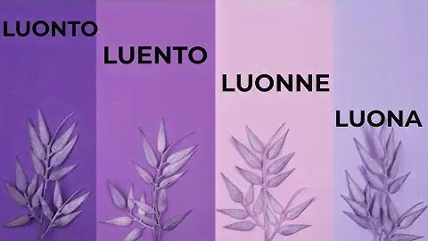 ФИНСКИЕ СЛОВА LUONTO, LUENTO, LUONNE, LUONA