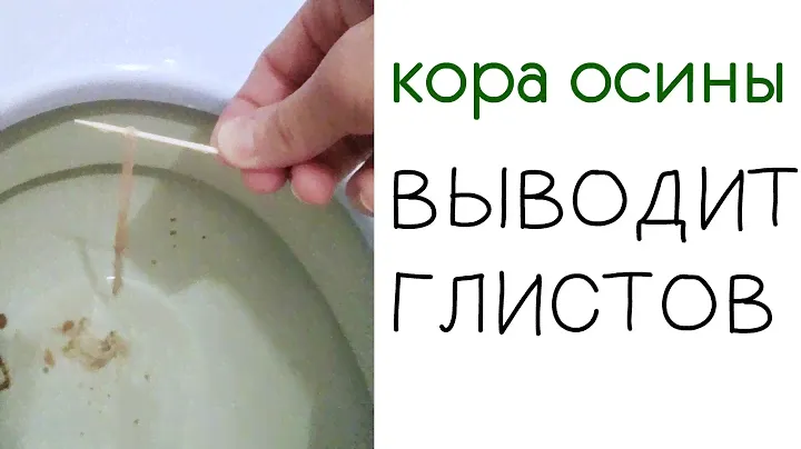 НЕ ДЛЯ СЛАБОНЕРВНЫХ: на чистках выходят паразиты.