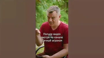 НАШЕСТВИЕ ГУСЕНИЦ что делать