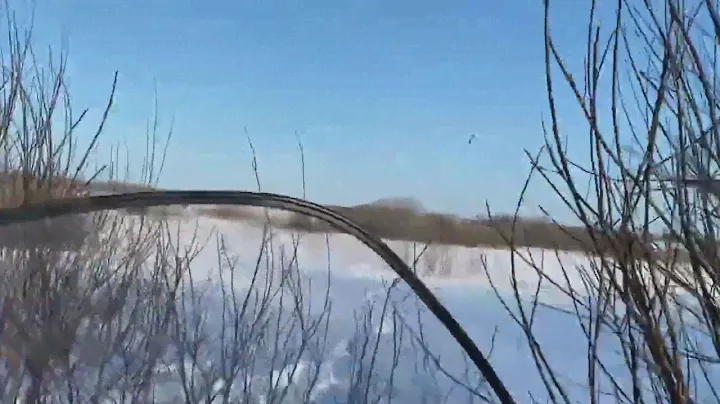ПОГОНЯ ЗА ЛОСЯМИ НА СНЕГОХОДЕ  Тайга Атака 2 #лоси#зима#снегоход#природа