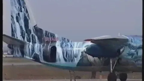Полеты на Ан-24 в Конго.  2006 год.