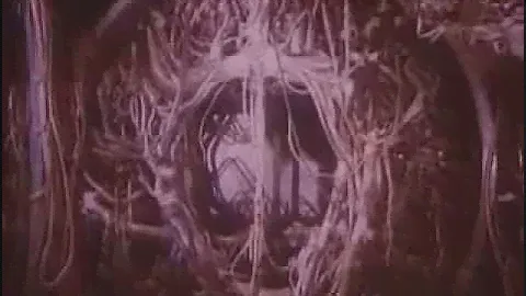 Система Управления «БУРАНа»  1992
