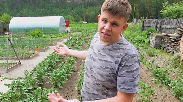 Про огурцы, капусту, рыбалку, картошку, баню и сенокос