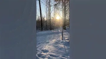 Эту картину я повезу в Канны👆