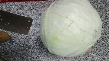 05.11.24. Рахунок 1:1