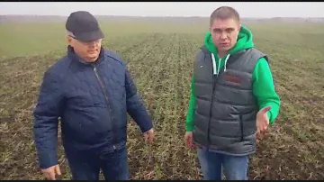 Борона-мотыга ротационная МРШ 12 (Компания Сармат) ООО "Пичерское" Рассказовский район